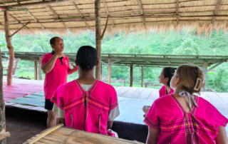 joy elephant volunteer, joy elephant volunteer chiang mai