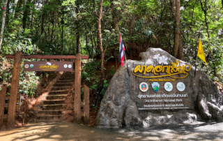 elephant observation and hiking doi inthanon, elephant observation and trekking doi inthanon, elephant observation and doi inthanon hike, elephant observation and doi inthanon trek, elephant surveying and doi inthanon hiking, doi inthanon hiking, doi inthanon trekking