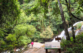 elephant observation and hiking doi inthanon, elephant observation and trekking doi inthanon, elephant observation and doi inthanon hike, elephant observation and doi inthanon trek, elephant surveying and doi inthanon hiking, doi inthanon hiking, doi inthanon trekking