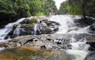 elephant observation and hiking doi inthanon, elephant observation and trekking doi inthanon, elephant observation and doi inthanon hike, elephant observation and doi inthanon trek, elephant surveying and doi inthanon hiking, doi inthanon hiking, doi inthanon trekking