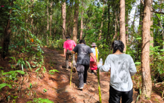 elephant observation and hiking doi inthanon, elephant observation and trekking doi inthanon, elephant observation and doi inthanon hike, elephant observation and doi inthanon trek, elephant surveying and doi inthanon hiking, doi inthanon hiking, doi inthanon trekking