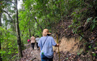 elephant observation and hiking doi inthanon, elephant observation and trekking doi inthanon, elephant observation and doi inthanon hike, elephant observation and doi inthanon trek, elephant surveying and doi inthanon hiking, doi inthanon hiking, doi inthanon trekking