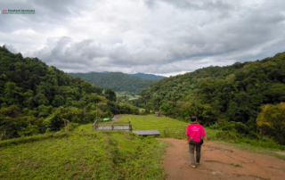 elephant observation and hiking doi inthanon, elephant observation and trekking doi inthanon, elephant observation and doi inthanon hike, elephant observation and doi inthanon trek, elephant surveying and doi inthanon hiking, doi inthanon hiking, doi inthanon trekking