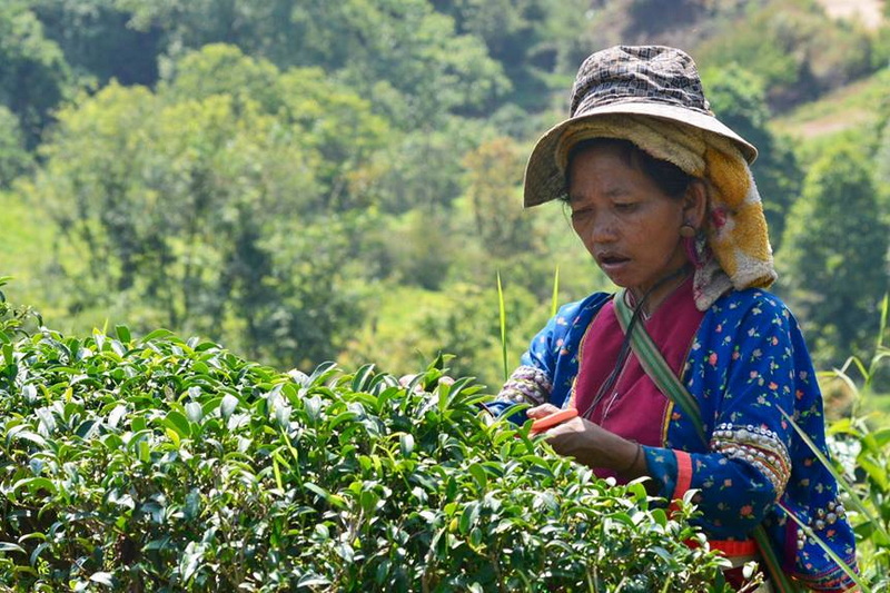 doi ang khang, doi ang khang nature