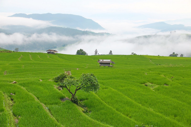 mae jam, mae jam village, village attractions chiang mai, attractions village in chiang mai, chiang mai villages, villages in chiang mai