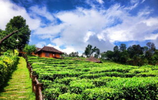 ban rak thai, baan rak thai, ban rak thai village, rak thai village, baan rak thai village, ban rak thai maehongson, rak thai village maehongson