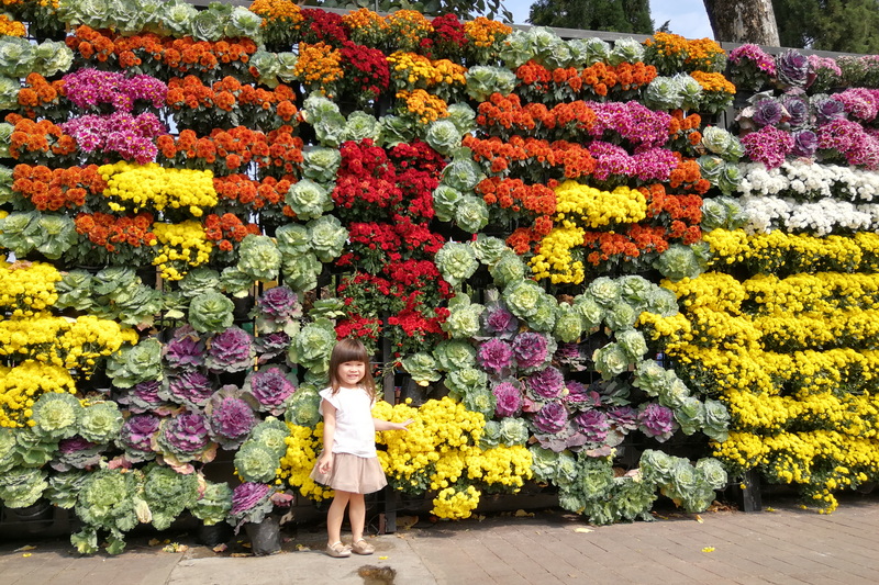 nong buakhad, garden attractions chiang mai, attractions garden in chiang mai, attractions park and garden in chiang mai, chiang mai nature park, public parks in chiang mai, floral gardens chiang mai, botanical gardens in chiang mai