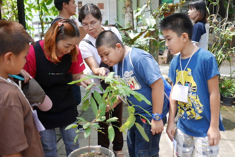 siam insect zoo, zoo attractions chiang mai, attractions zoo in chiang mai, zoos in chiang mai, animal parks in chiang mai, chiang mai zoos, animal farms in chiang mai