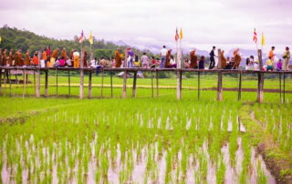 su tong pae bridge, su tong pae bamboo bridge, su tong pae, sutongpae bridge, sutongpae bamboo bridge