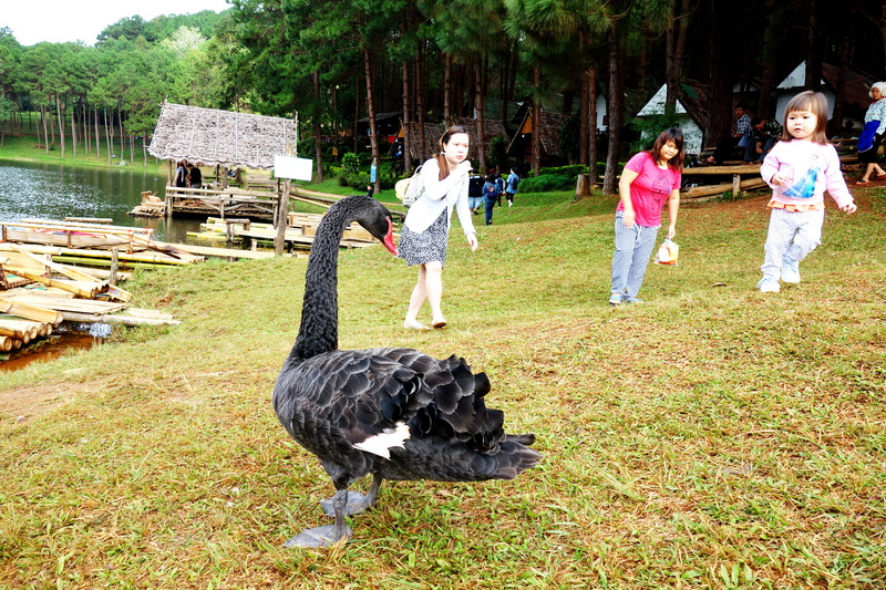 pang ung, pang oung, pang oong, pang ung mae hong son, pang oung mae hong son, pang oong mae hong son