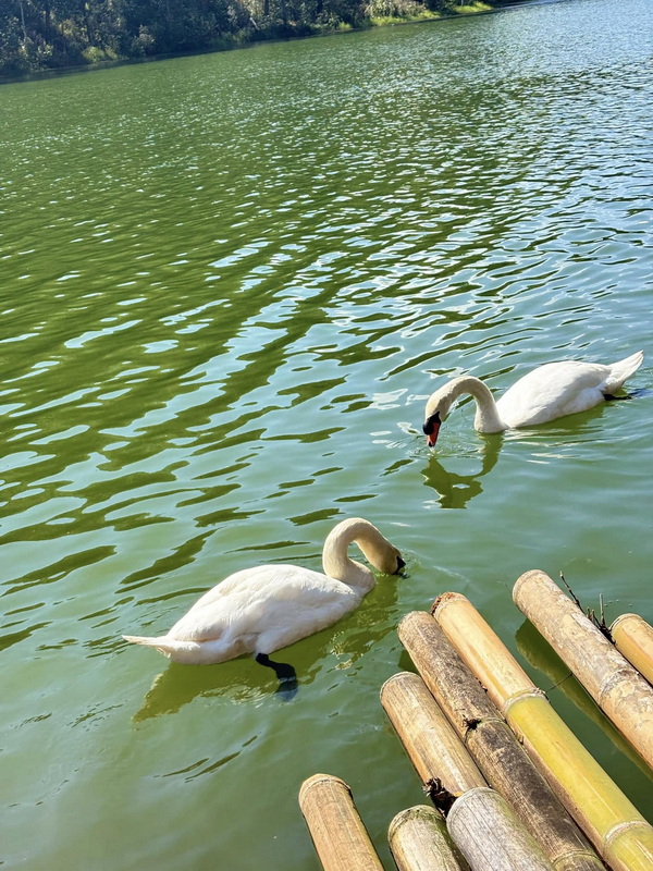 pang ung, pang oung, pang oong, pang ung mae hong son, pang oung mae hong son, pang oong mae hong son