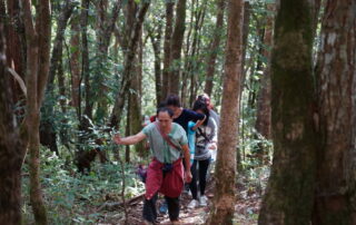 a day hike to doi pui luang, ban huay hee day hike, doi pui luang trekking, ban huay hee adventure, hiking to doi pui luang, ban huay hee trekking, doi pui luang hike