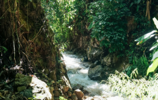 hiking at ban huai kung, ban huai kung day trek, ban huai kung day hike, ban huai kung trekking, ban huai kung adventure trek, ban huai kung hike, a day hike at ban huai kung, ban huai kung day hike