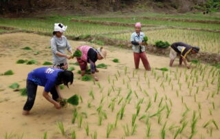 hiking at ban huay kaew bon, a day hike at ban huay kaew bon, ban huay kaew bon day hike, ban huay kaew bon trekking, ban huay kaew bon adventure trek, hiking at ban huay kaew bon, ban huay kaew bon trekking, ban huay kaew bon hike