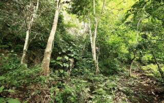 trekking at ban Jabo, ban Jabo day hike, ban Jabo trekking, ban Jabo adventure trek, hiking at ban Jabo, ban Jabo day trek, ban Jabo hike, ban Jabo trek