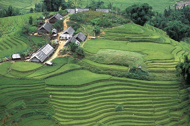 hmong meo microwave village, hmong microwave village hmong meo microwave village