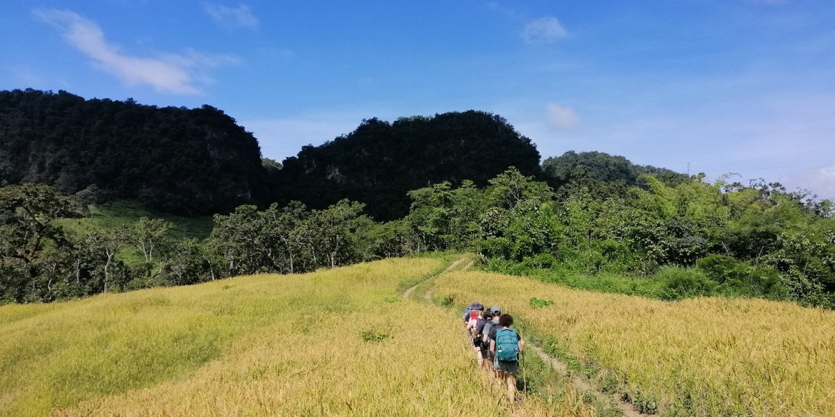 ban muang pam, ban muang pam village, muang pam village, ban muang pam mae hong son, ban muangpam, ban muang pam pang mapha, baan muang pam, ban muang paem ban muang pam, ban muang pam village, muang pam village, ban muang pam mae hong son, ban muangpam, ban muang pam pang mapha, baan muang pam, ban muang paem