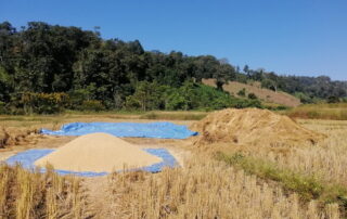trekking at ban muang pam, ban muang pam day hike, ban muang pam trekking, ban muang pam adventure trek, hiking at ban muang pam, ban muang pam day trek, ban muang pam hike, ban muang pam trek