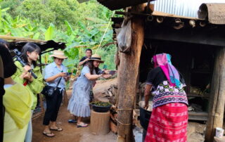 trekking at ban muang pam, ban muang pam day hike, ban muang pam trekking, ban muang pam adventure trek, hiking at ban muang pam, ban muang pam day trek, ban muang pam hike, ban muang pam trek