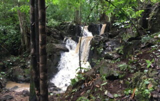 trekking at ban pha mon, ban pha mon day hike, ban pha mon trekking, ban pha mon adventure trek, hiking at ban pha mon, ban pha mon day trek, ban pha mon hike, ban pha mon trek