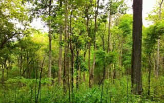 trekking at ban pha mon, ban pha mon day hike, ban pha mon trekking, ban pha mon adventure trek, hiking at ban pha mon, ban pha mon day trek, ban pha mon hike, ban pha mon trek