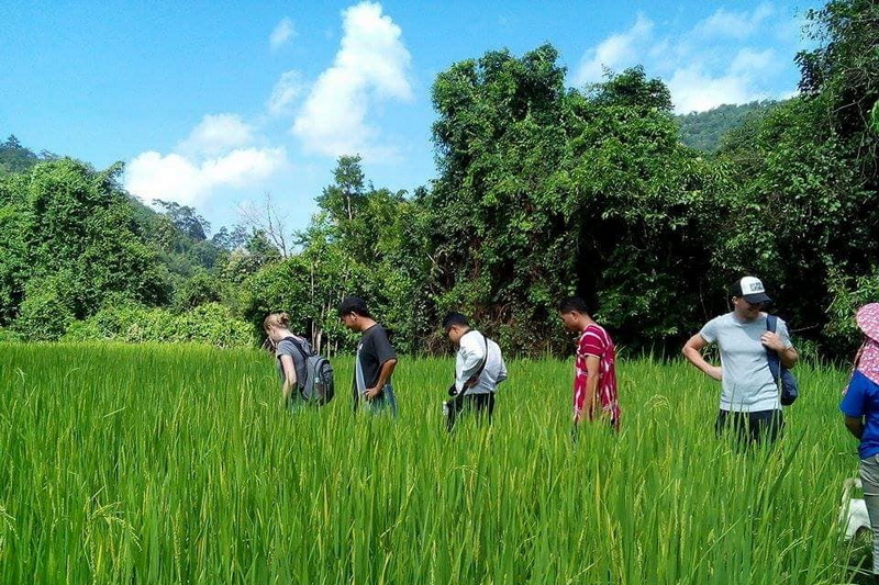 ban muang pon, ban muang pon village, muang pon village, ban muang pon mae hong son, ban muangpon, ban muang pon khun yuam, baan muang pon ban muang pon, ban muang pon village, muang pon village, ban muang pon mae hong son, ban muangpon, ban muang pon khun yuam, baan muang pon