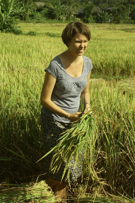 ban muang pon, ban muang pon village, muang pon village, ban muang pon mae hong son, ban muangpon, ban muang pon khun yuam, baan muang pon ban muang pon, ban muang pon village, muang pon village, ban muang pon mae hong son, ban muangpon, ban muang pon khun yuam, baan muang pon