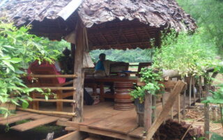 ban mae lana, 2-day trek at ban mae lana , ban mae lana 2-day hiking tour, 2 days in ban mae lana & lod cave, ban mae lana 2-day trekking tour, ban mae lana 2-day hike, 2 days trekking ban mae lana, 2 days trek lod cave, ban mae lana 2-day trek