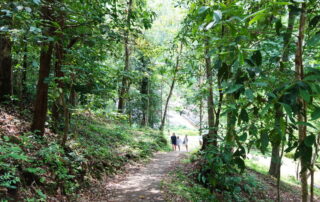 mor paeng waterfall, mor pang waterfall, morpaeng waterfall, morpang waterfall