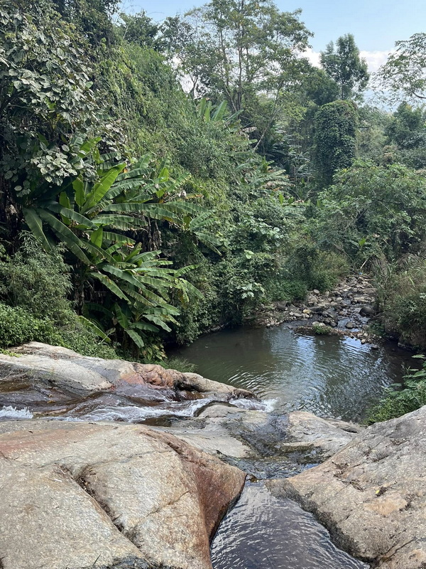 mor paeng waterfall, mor pang waterfall, morpaeng waterfall, morpang waterfall mor paeng waterfall, mor pang waterfall, morpaeng waterfall, morpang waterfall