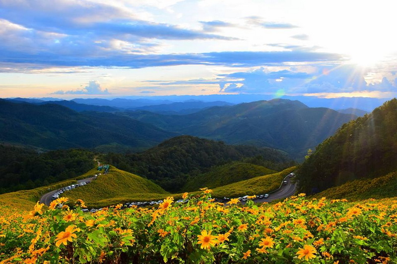 doi mae u kho, doi mae ukho, doi mae u-kor, doi mae ukor, mexican sun flower field tham kaeo komon forest park, tham kaeo komon, kaeo komon cave, kaew komon cave, tham kaew komon, tham kaew komon forest park, tham kaeo komol forest park, tham kaeo komol, kaeo komol cave, kaew komol cave, tham kaew komol, tham kaew komol forest park