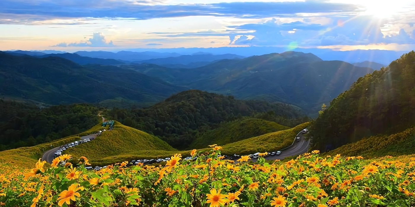 thung bua tong fields at doi mae u kho, bua tong fields doi mae u kho, bua tong fields at doi mae u kho, mexican sunflowers at doi mae u kho, doi mae u kho mexican sunflowers, doi mae u kho, doi mae u kho thung bua tong fields at doi mae u kho, bua tong fields doi mae u kho, bua tong fields at doi mae u kho, mexican sunflowers at doi mae u kho, doi mae u kho mexican sunflowers, doi mae u kho, doi mae u kho, thung dok bua tong at doi mae u-kho