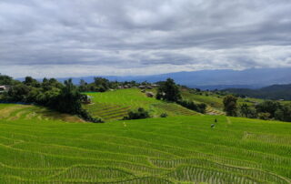 rice terraces ban pa bong piang, ban pa bong piang, mae jam, mae chaem, mae chaem district, mae jam district