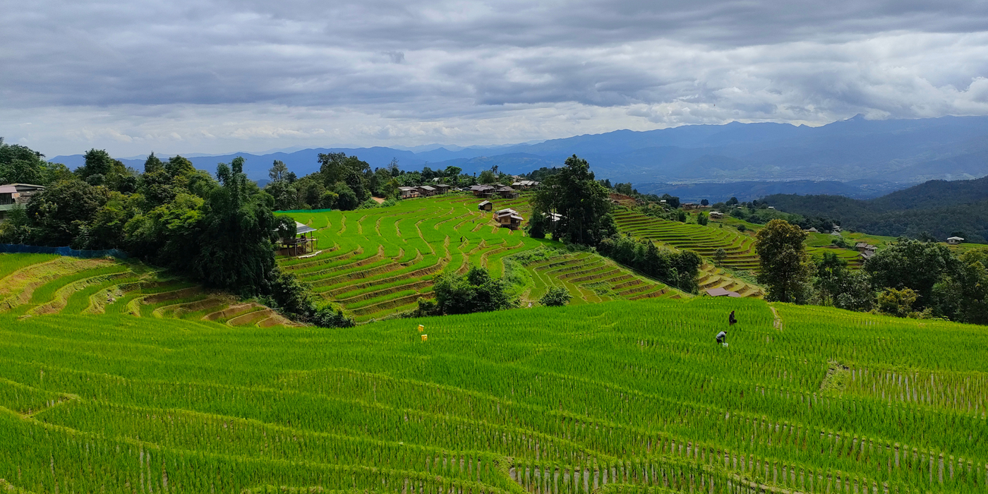 rice terraces ban pa bong piang, ban pa bong piang, mae jam, mae chaem, mae chaem district, mae jam district