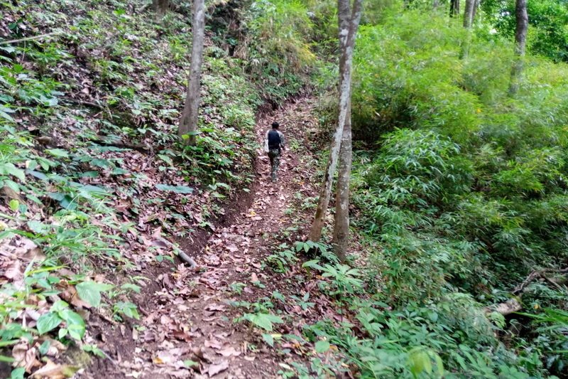 mae sakut nature trail, namtok mae surin national park, mae surin national park, namtok mae surin, namtok mae surin forest park
