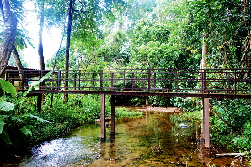 sai ngam hot spring, sai ngam natural hot spring, sai ngam natural mineral hot spring, sai ngam mineral hot spring sai ngam hot spring, sai ngam natural hot spring, sai ngam natural mineral hot spring, sai ngam mineral hot spring