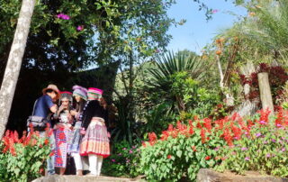 hmong, hmong people, hmong hilltribe, hmong village, hmong tribe, maew, mong, miao, meo, hmong hill tribe