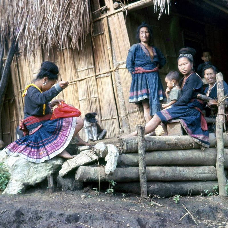 hmong, hmong people, hmong hilltribe, hmong village, hmong tribe, maew, mong, miao, meo, hmong hill tribe hmong, hmong people, hmong hilltribe, hmong village, hmong tribe, maew, mong, miao, meo