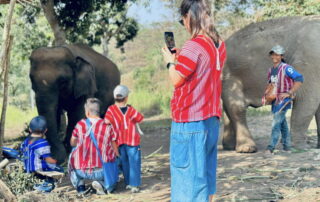 Elephant Family Chiang Rai, half day elephant chiang rai, elephant sanctuary chiang rai, karen ruammit elephant camp, chiang rai elephant bathing tour, elephant experience chiang rai, ethical elephant tour chiang rai, elephant feeding chiang rai, chiang rai elephant half day tour
