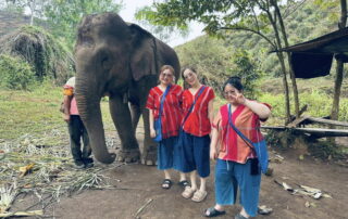 Elephant Family Chiang Rai, half day elephant chiang rai, elephant sanctuary chiang rai, karen ruammit elephant camp, chiang rai elephant bathing tour, elephant experience chiang rai, ethical elephant tour chiang rai, elephant feeding chiang rai, chiang rai elephant half day tour