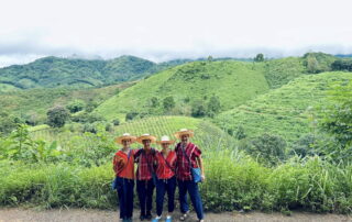 Elephant Family Chiang Rai, half day elephant chiang rai, elephant sanctuary chiang rai, karen ruammit elephant camp, chiang rai elephant bathing tour, elephant experience chiang rai, ethical elephant tour chiang rai, elephant feeding chiang rai, chiang rai elephant half day tour