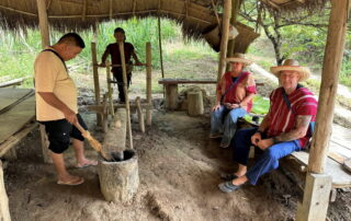 Elephant Family Chiang Rai, half day elephant chiang rai, elephant sanctuary chiang rai, karen ruammit elephant camp, chiang rai elephant bathing tour, elephant experience chiang rai, ethical elephant tour chiang rai, elephant feeding chiang rai, chiang rai elephant half day tour