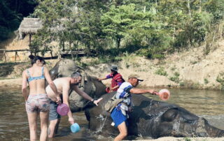 Elephant Family Chiang Rai, half day elephant chiang rai, elephant sanctuary chiang rai, karen ruammit elephant camp, chiang rai elephant bathing tour, elephant experience chiang rai, ethical elephant tour chiang rai, elephant feeding chiang rai, chiang rai elephant half day tour