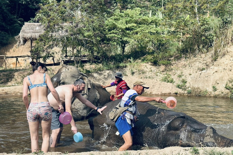Chiang Rai Tour04: Elephant Experience Chiang Rai