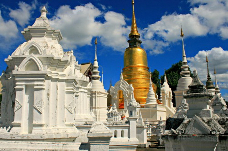 wat suan dok, suan dok temple, wat suandok, suandok temple, wat suan dok chiang mai, suan dok temple chiang mai, wat suandok chiang mai, suandok temple chiang mai, wat buppharam, buppharam temple wat suan dok, suan dok temple, wat suandok, suandok temple, wat suan dok chiang mai, suan dok temple chiang mai, wat suandok chiang mai, suandok temple chiang mai, wat buppharam, buppharam temple