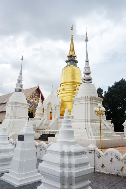 wat suan dok, suan dok temple, wat suandok, suandok temple, wat suan dok chiang mai, suan dok temple chiang mai, wat suandok chiang mai, suandok temple chiang mai, wat buppharam, buppharam temple wat suan dok, suan dok temple, wat suandok, suandok temple, wat suan dok chiang mai, suan dok temple chiang mai, wat suandok chiang mai, suandok temple chiang mai, wat buppharam, buppharam temple