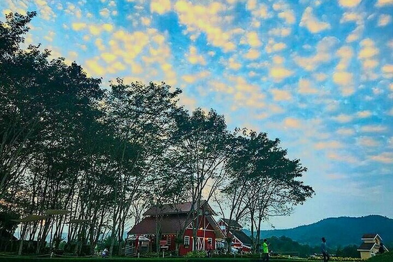 singha park, singha park chiang rai, singha park chiangrai