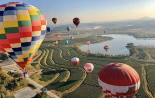 singha park, singha park chiang rai, singha park chiangrai