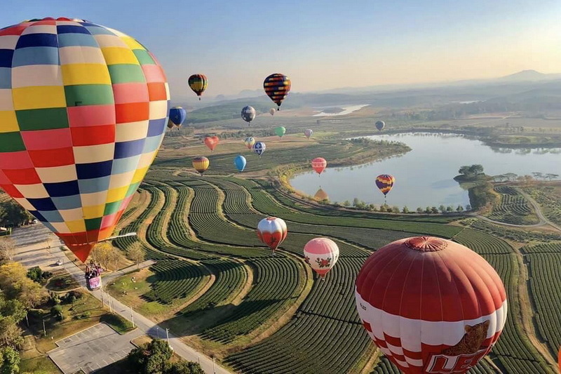 singha park, singha park chiang rai, singha park chiangrai