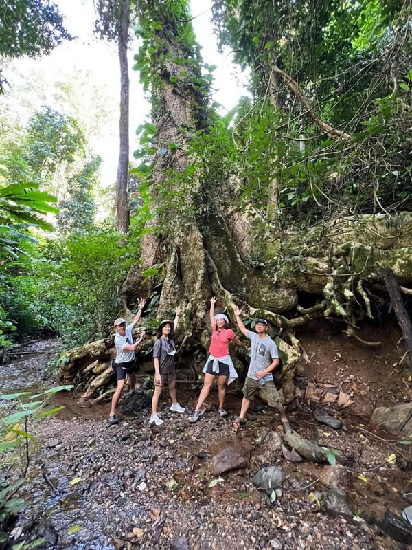 doi luang chiang dao, doi luang chiangdao, doi chiang dao, doi luang chiang dao forest park, doi chiang dao forest park, chiang dao wildlife sanctuary, doi luang chiang dao trek, doi luang chiangdao trek, doi chiang dao trek